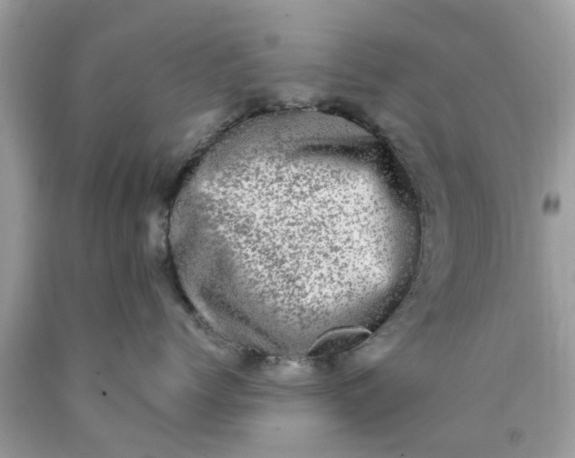 X0000090420768200707272110