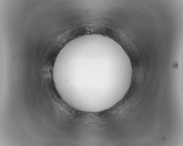 X0000090420770200707272110