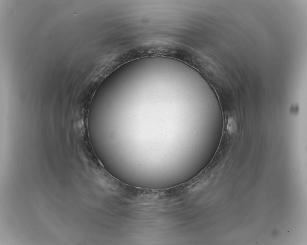 X0000090420771200707272110