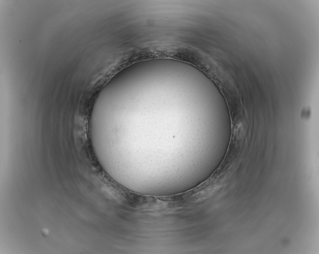 X0000090420772200707272110