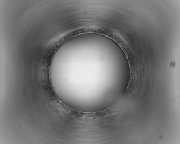 X0000090420773200707272110