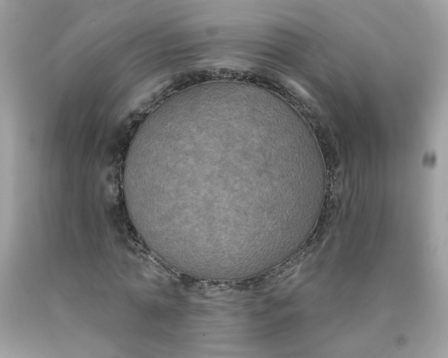 X0000090420774200707272110