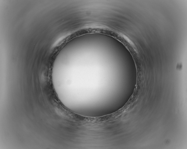 X0000090420775200707272110