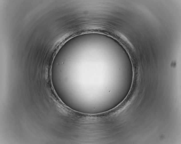 X0000090420777200707272110