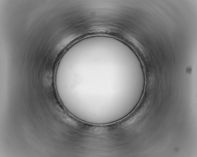 X0000090420778200707272110