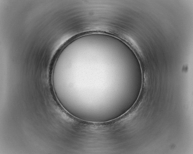 X0000090420780200707272110