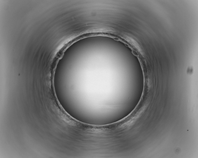 X0000090420781200707272110