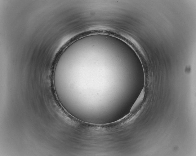 X0000090420783200707272110