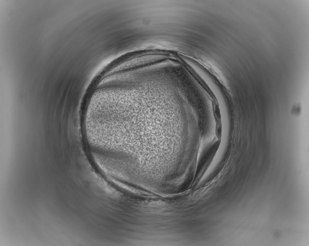 X0000090420784200707272110