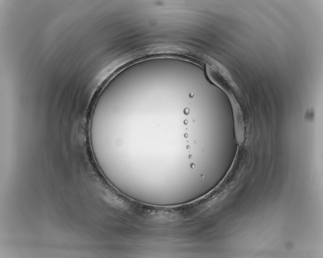 X0000090420786200707272110