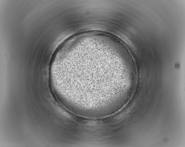 X0000090420790200707272110