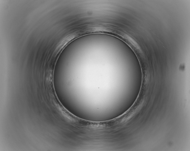 X0000090420793200707272110