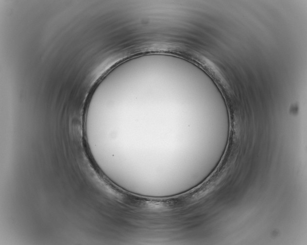 X0000090420794200707272110