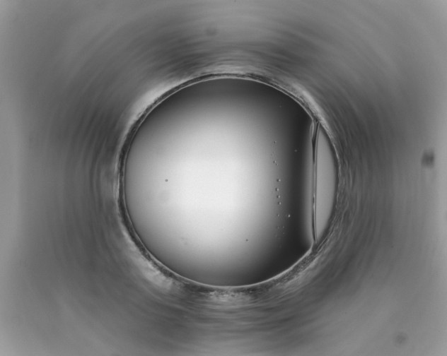 X0000090420795200707272110