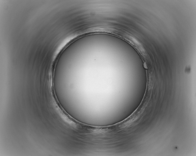 X0000090420796200707272110