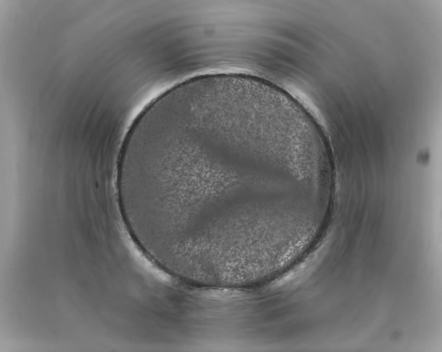 X0000090420797200707272109