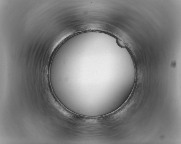 X0000090420798200707272109