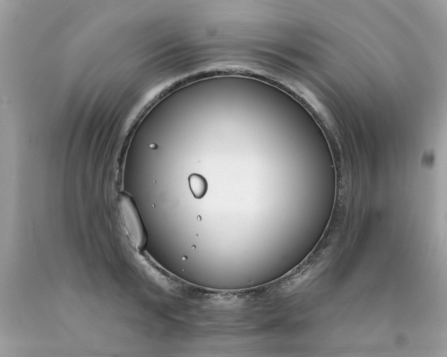 X0000090420799200707272109