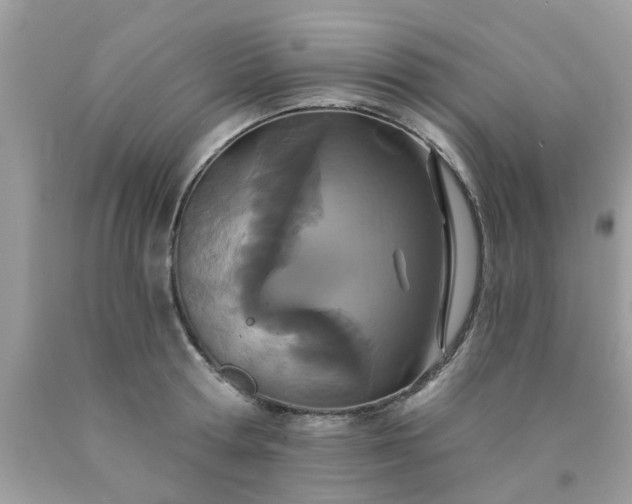 X0000090420802200707272109