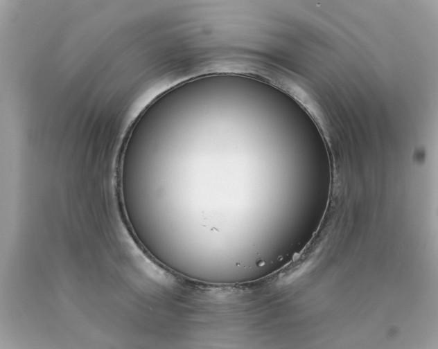 X0000090420803200707272109