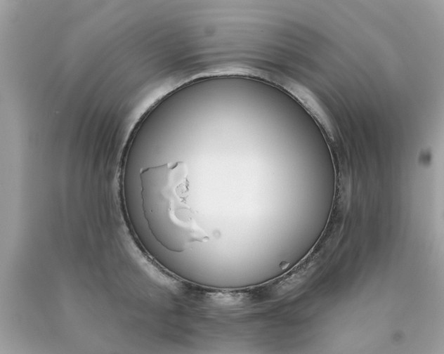 X0000090420805200707272109