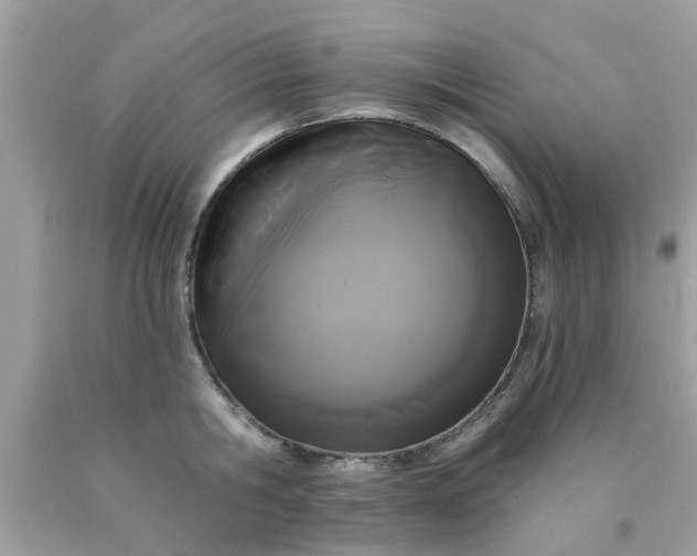 X0000090420806200707272109