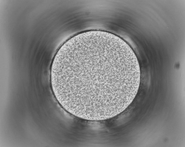 X0000090420807200707272109