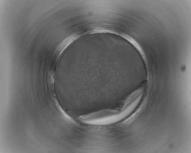 X0000090420809200707272109