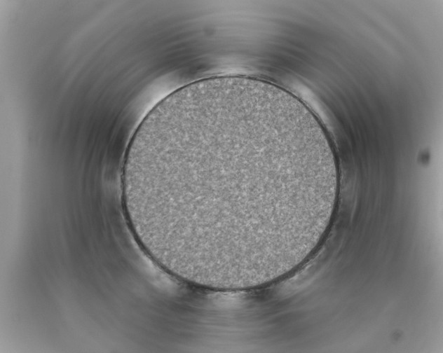 X0000090420810200707272109