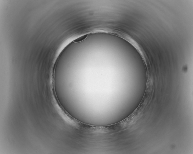 X0000090420811200707272109