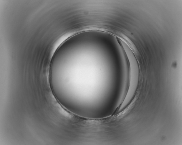 X0000090420812200707272109