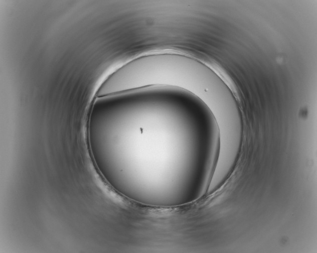 X0000090420813200707272109