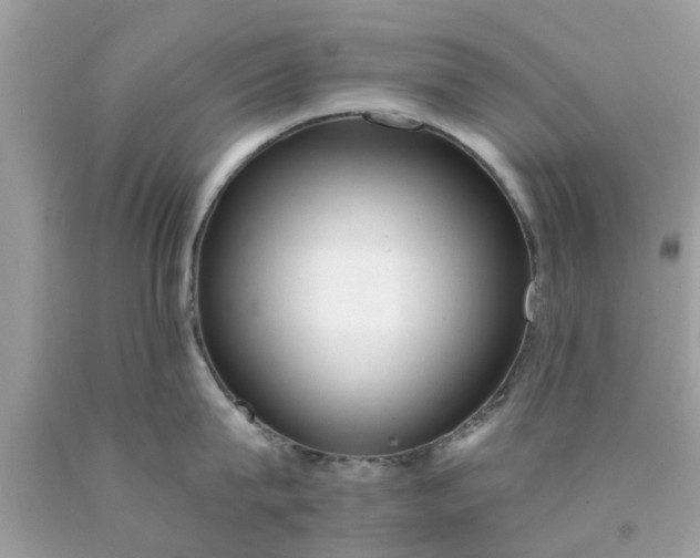 X0000090420815200707272109