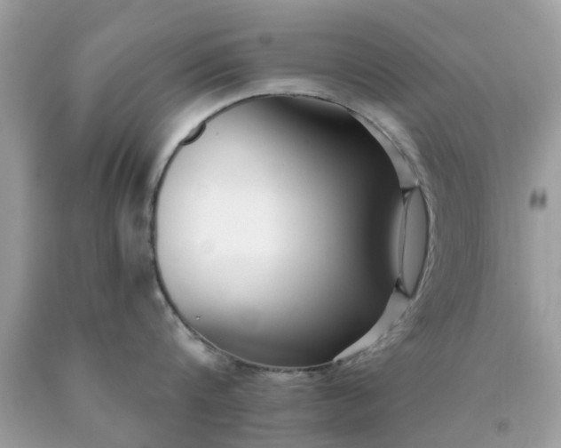 X0000090420816200707272109