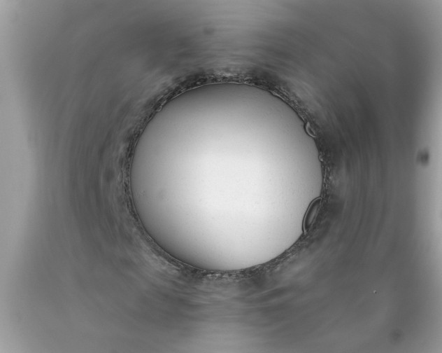 X0000090420817200707272108