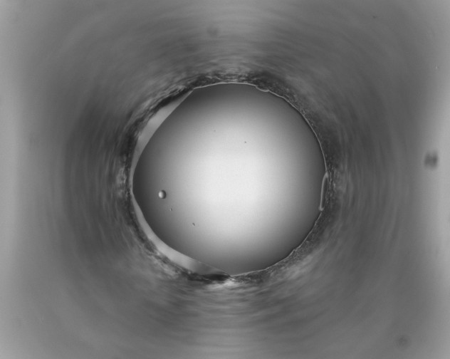 X0000090420818200707272109