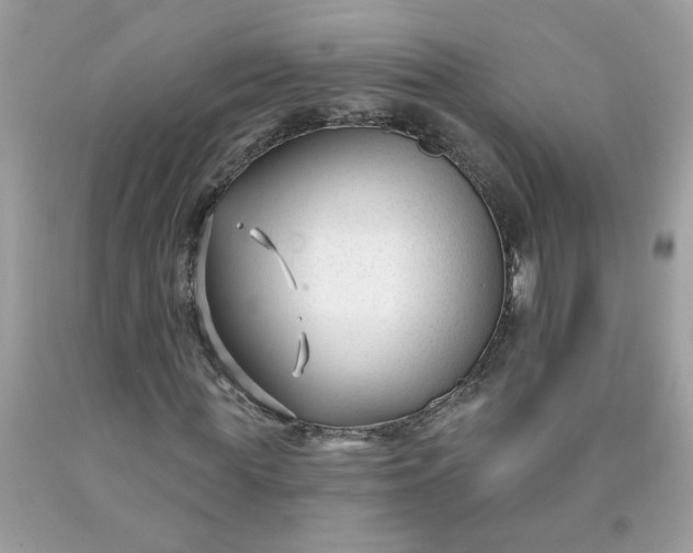 X0000090420819200707272109