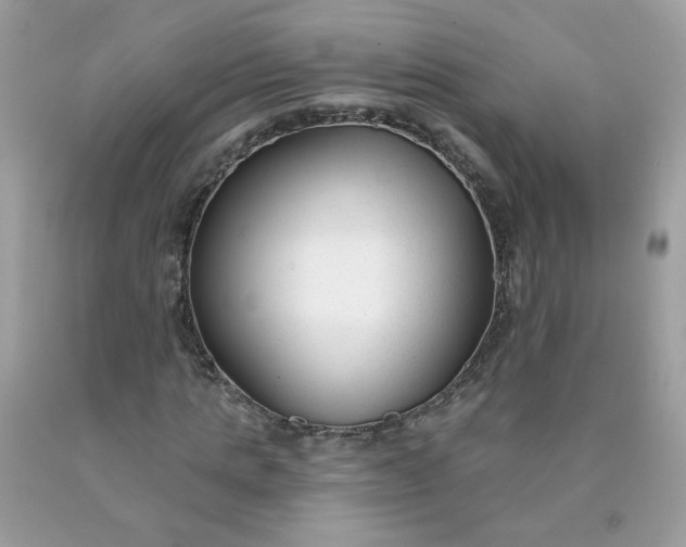 X0000090420821200707272109