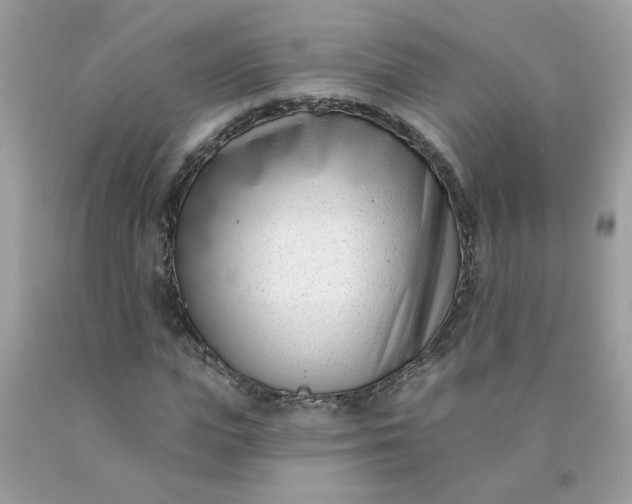 X0000090420823200707272109