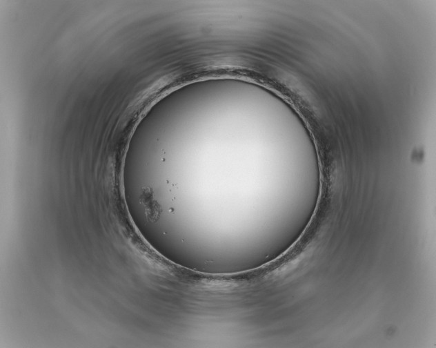 X0000090420825200707272109