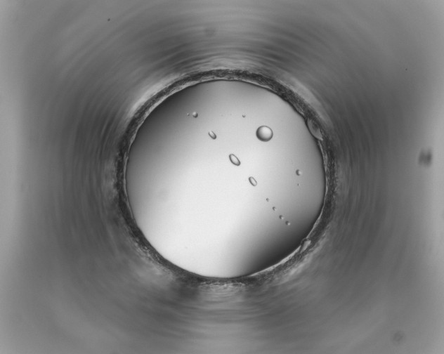 X0000090420826200707272109