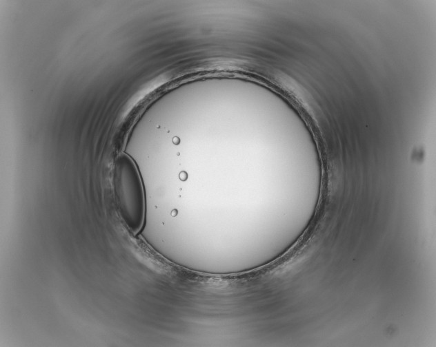 X0000090420827200707272109