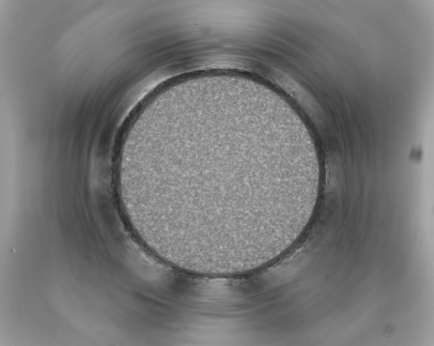 X0000090420828200707272109