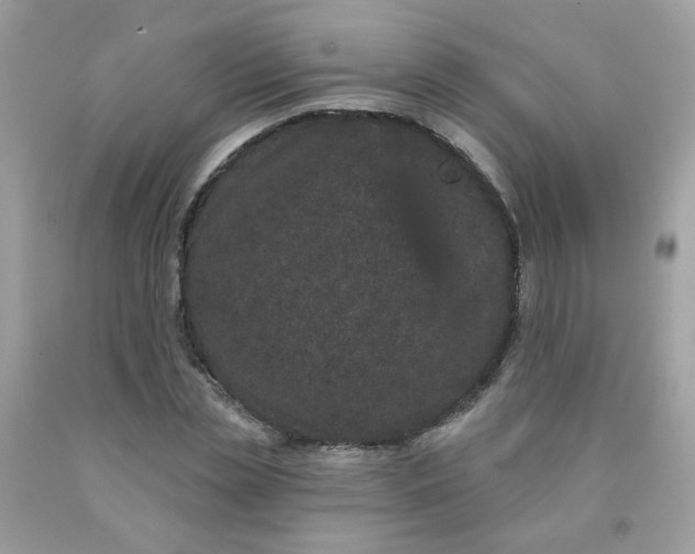 X0000090420829200707272109