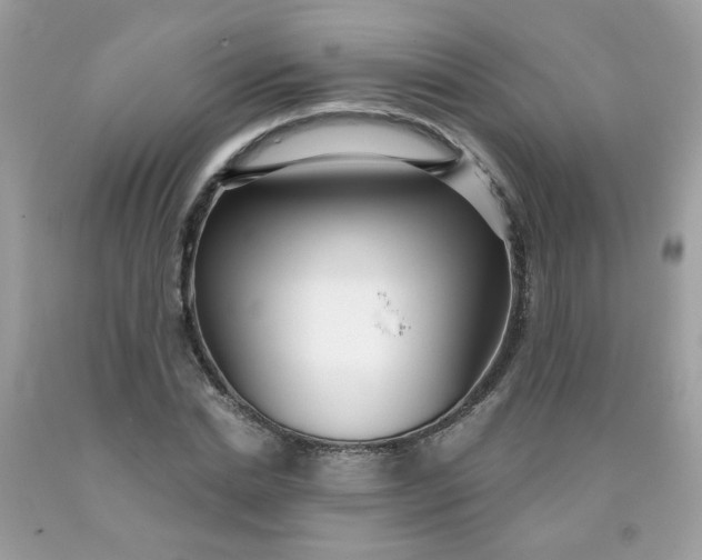 X0000090420830200707272109