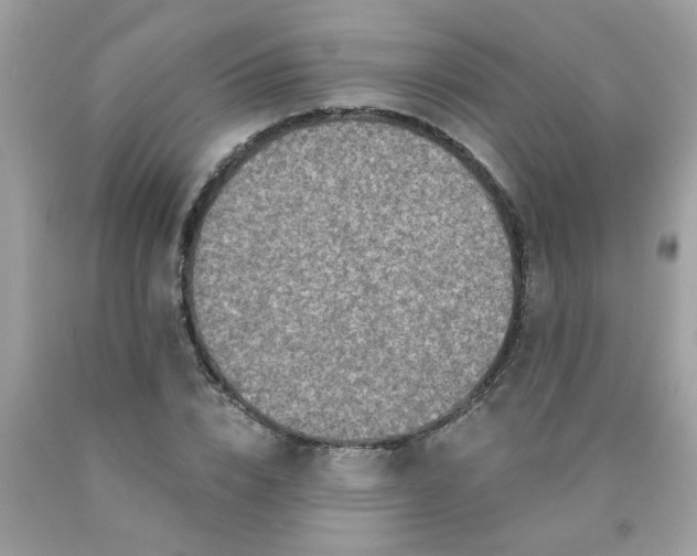 X0000090420832200707272109