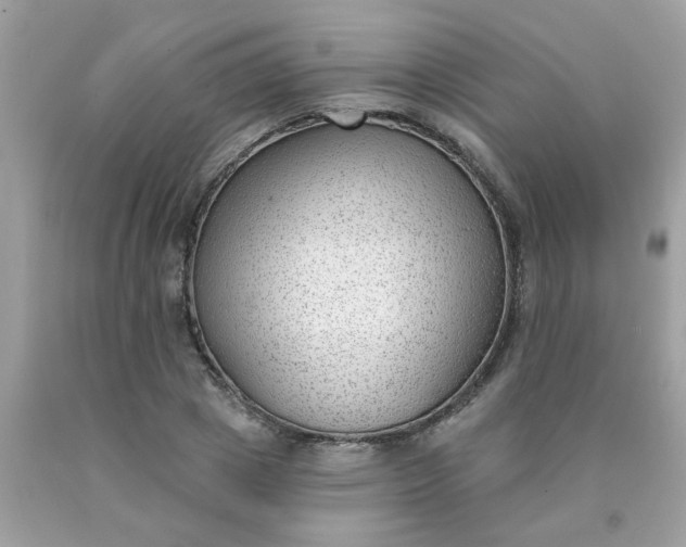 X0000090420833200707272109