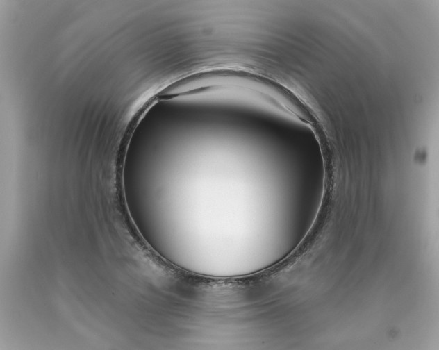 X0000090420834200707272109