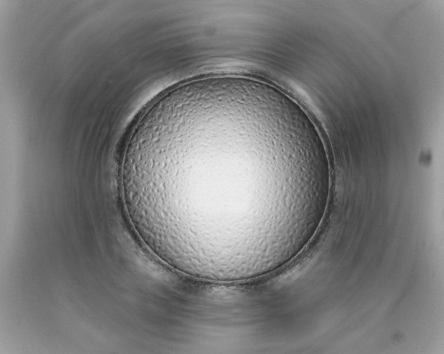 X0000090420835200707272109