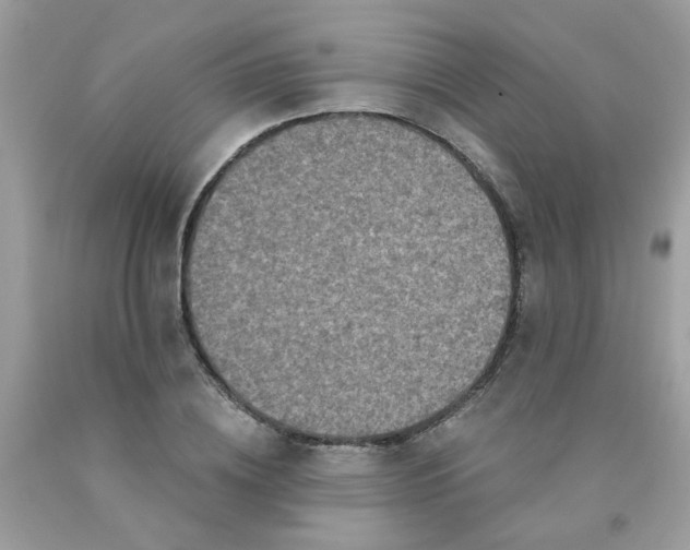 X0000090420836200707272109